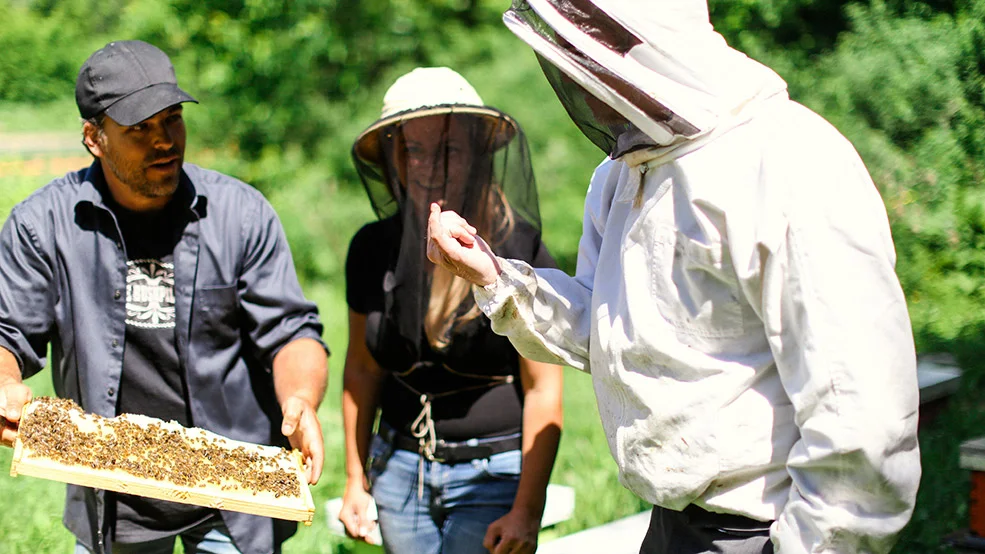 Gees Bees Honey Company