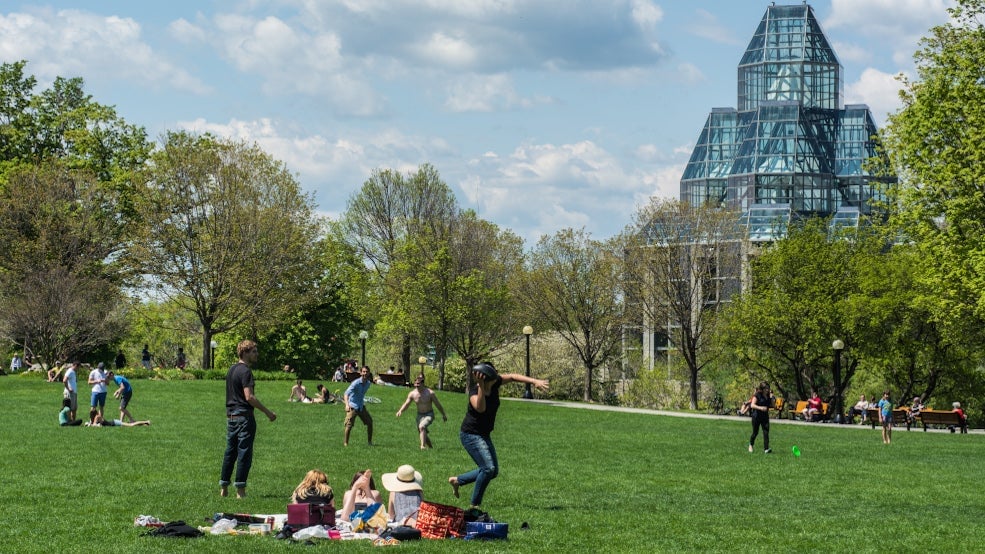 Majors Hill Park Fun