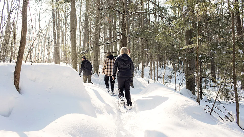 Snowshoeing in Gatineau Park