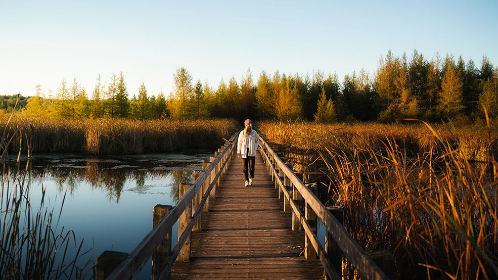 Mer Bleue Bog