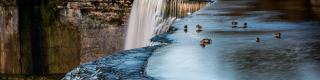 Rideau Falls