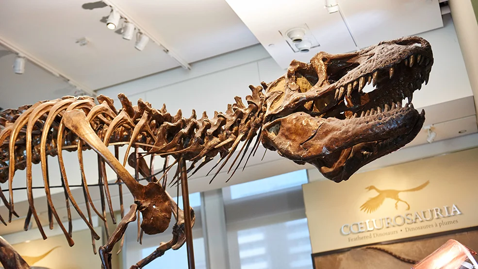 Canadian Museum of Nature
