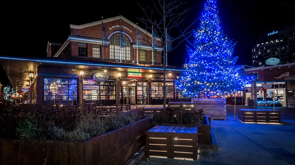 Byward Market, Winter