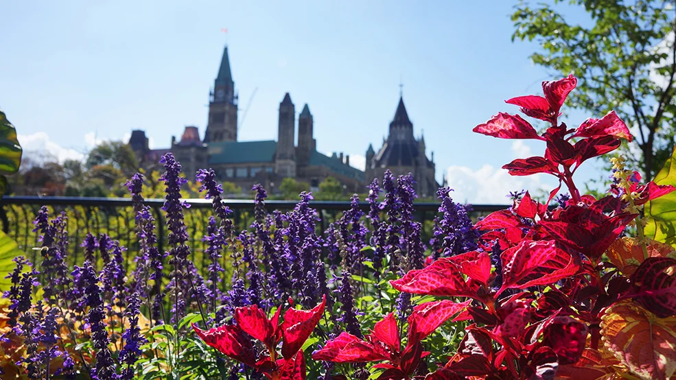 Major's Hill Park, view of Parliament