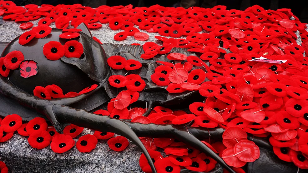 National War Memorial, Remembrance Day
