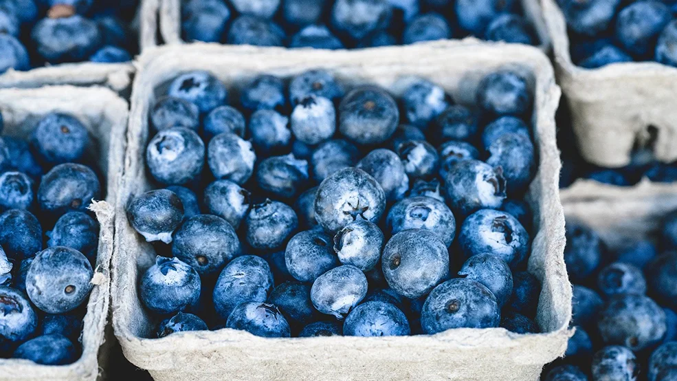 Blueberry