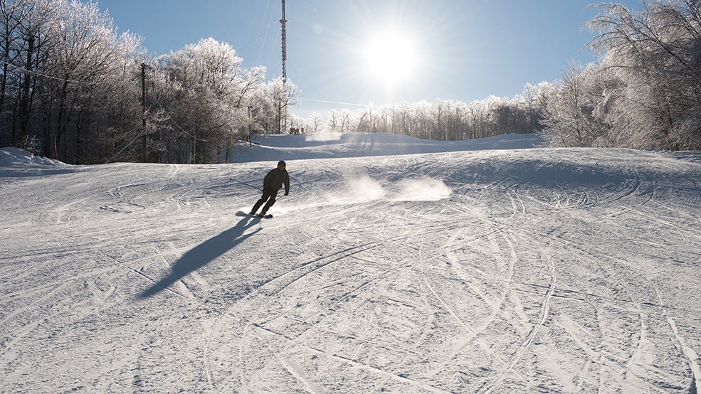 Camp Fortune Ski, Aerial Park and Ziplines