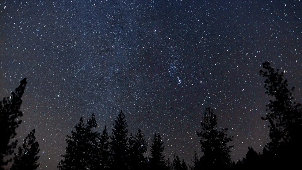 stargazing