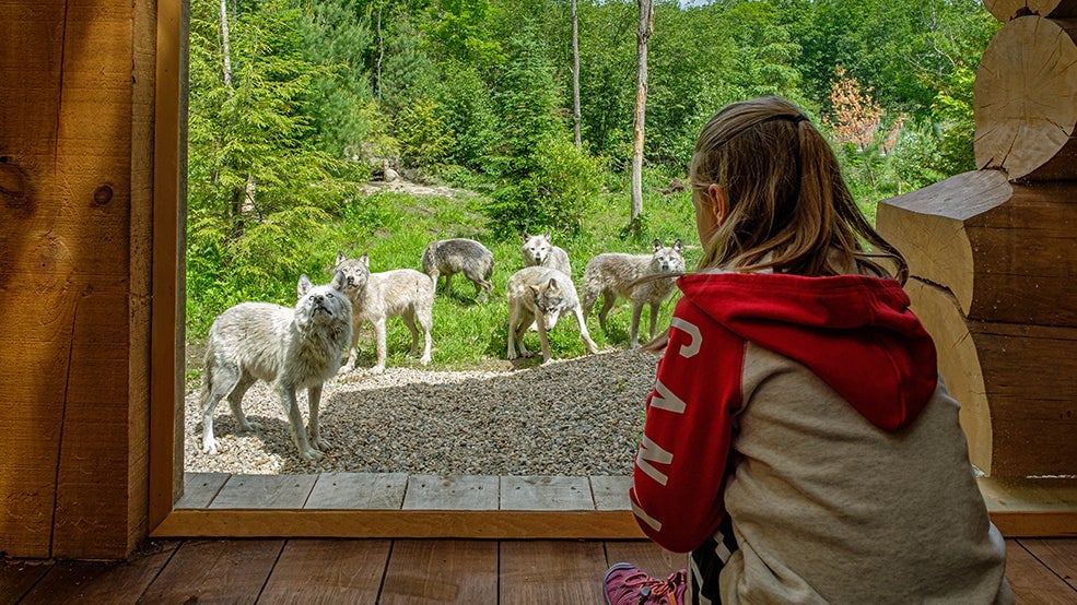 Parc Omega