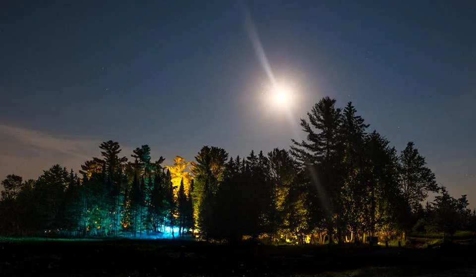 Parc Omega
