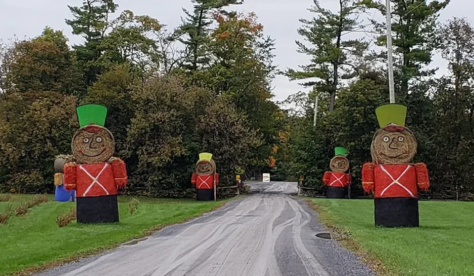 Pumpkin Fest