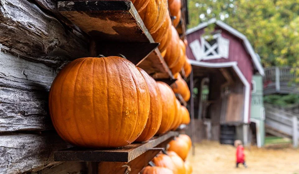 PumpkinFest