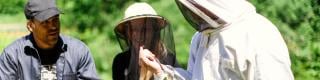 Gees Bees Honey Company